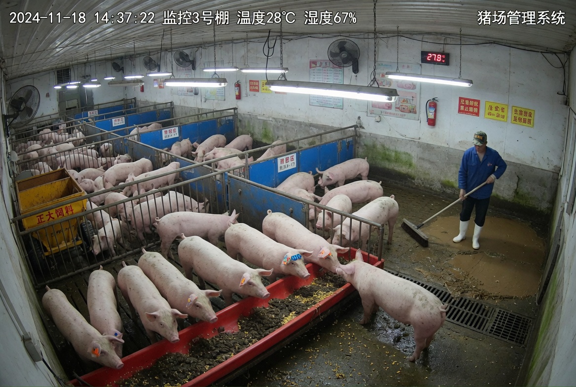 养猪场监控